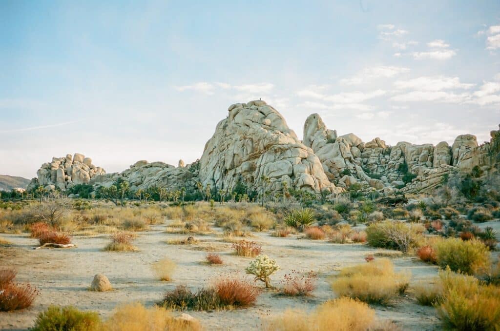 landscape photo of Joshua Tree, a destination covered in the traditional climbing destinations article